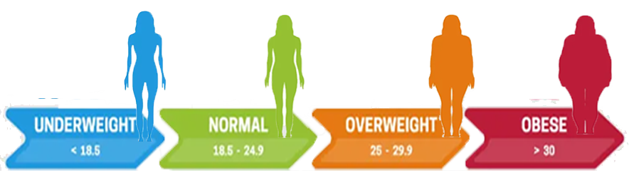 weight loss and obesity reversal program yogpath wellness – online yoga, breathwork & holistic healing
